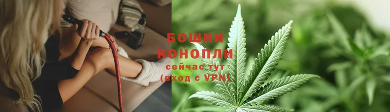 блэк спрут ССЫЛКА  Лодейное Поле  Канабис конопля 